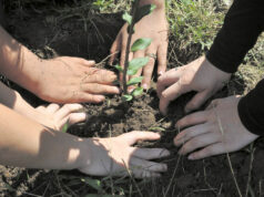 Educação Ambiental | Programa Verde é Vida celebra 35 anos