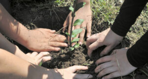 Educação Ambiental | Programa Verde é Vida celebra 35 anos