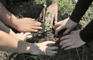 Educação Ambiental | Programa Verde é Vida celebra 35 anos