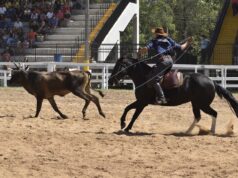 Santa Cruz do Sul | 36ª Fecars reúne o tradicionalismo gaúcho no Parque de Eventos