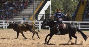 Santa Cruz do Sul | 36ª Fecars reúne o tradicionalismo gaúcho no Parque de Eventos