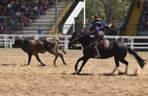 Santa Cruz do Sul | 36ª Fecars reúne o tradicionalismo gaúcho no Parque de Eventos