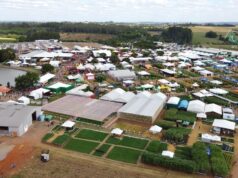 Expoagro Afubra | Tema “Resiliência” destaca desafios e soluções