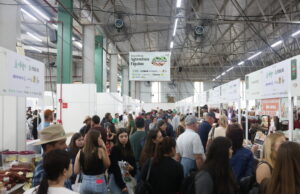 Rincão del Rey | Expoagro Afubra confirma datas para 2027 e prepara 25ª edição