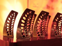 Mostra competitiva | Festival Santa Cruz de Cinema bate recorde de produções inscritas