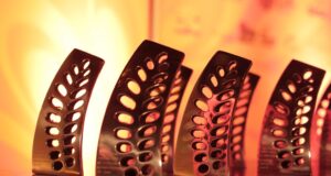 Mostra competitiva | Festival Santa Cruz de Cinema bate recorde de produções inscritas