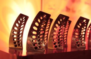 Mostra competitiva | Festival Santa Cruz de Cinema bate recorde de produções inscritas