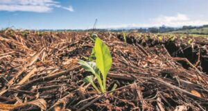 Conservação do solo | Aprimora Solo amplia alcance no campo