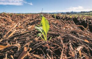 Conservação do solo | Aprimora Solo amplia alcance no campo