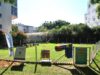 Dog Park é inaugurado na Praça da Pasqualini