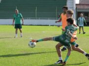 Futebol | EC Avenida aposta na base para crescer