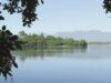 Dia Internacional da Biodiversidade | Ação local impulsiona proteção global da vida
