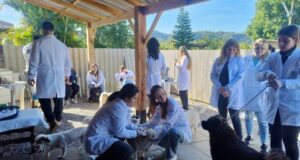 Cuidados veterinários | Projeto Braço Forte atende 42 animais em abrigo