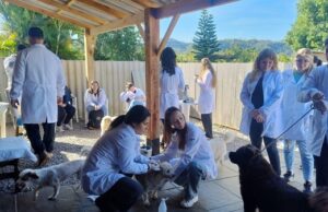 Cuidados veterinários | Projeto Braço Forte atende 42 animais em abrigo