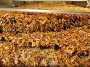 Tarifaço dos EUA | Setor do tabaco pede exceção tarifária