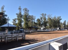 Laço de Inverno 2026 | Parque de Rodeios está pronto para receber rodeio