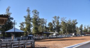 Laço de Inverno 2026 | Parque de Rodeios está pronto para receber rodeio