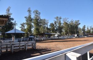 Laço de Inverno 2026 | Parque de Rodeios está pronto para receber rodeio