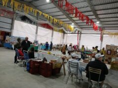 Rio Pardinho | Mercado das Pulgas chega à 27ª edição com cultura, lazer e esporte