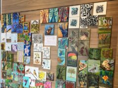 Artes visuais | Exposição une arte e solidariedade no Hospital Ana Nery