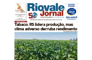 Edição 28/08/2026