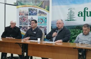 Produção de tabaco | Preço em queda e clima desfavorável marcam a safra 2025/2026