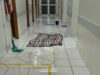 Medida temporária | Hospitalzinho suspende atendimentos após danos causados pelas chuvas