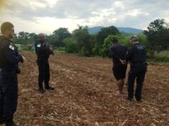 Segurança Pública | Guarda Municipal prende homem com mandado de prisão em aberto após alerta de reconhecimento facial