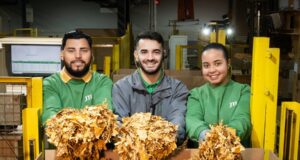 Oportunidades temporárias | JTI contrata profissionais para Safra 27