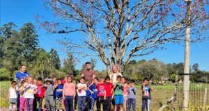 Educação | A beleza dos ipês é destaque em projeto da Emef Vidal de Negreiros