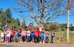Educação | A beleza dos ipês é destaque em projeto da Emef Vidal de Negreiros