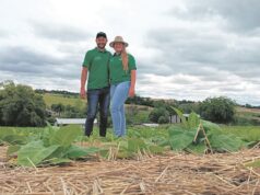 Capacitação amplia voz feminina no campo hoje