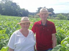 Colheita do Tabaco | Cerimônia de Abertura será dia 6 de novembro