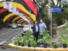 41ª Oktoberfest | Plantas de fumo decoram a Marechal Floriano