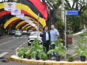 41ª Oktoberfest | Plantas de fumo decoram a Marechal Floriano