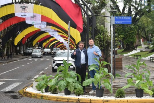 41ª Oktoberfest | Plantas de fumo decoram a Marechal Floriano