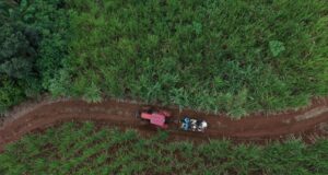 Vera Cruz | União de empreendedores fortalece o turismo rural