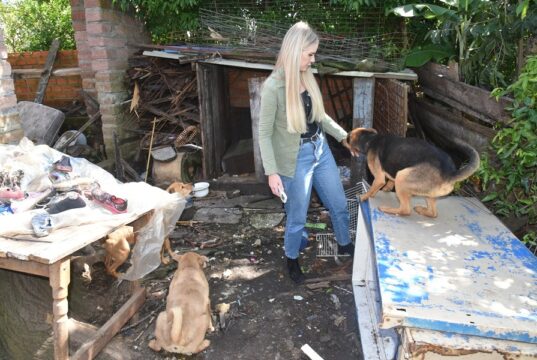 Polícia | Operação recolhe nove cães vítimas de maus-tratos em Santa Cruz do Sul